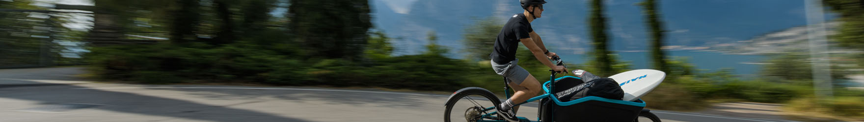 mhw-e-bikes-lastenfahrrad-kat-2025