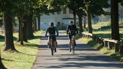 Ein Paar fährt mit dem Rad durch eine Allee.